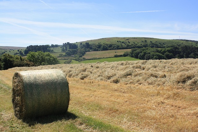 Hay Bale in countryside