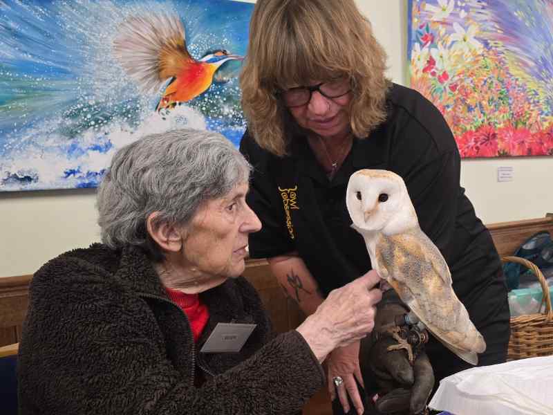Resident stroking an owl